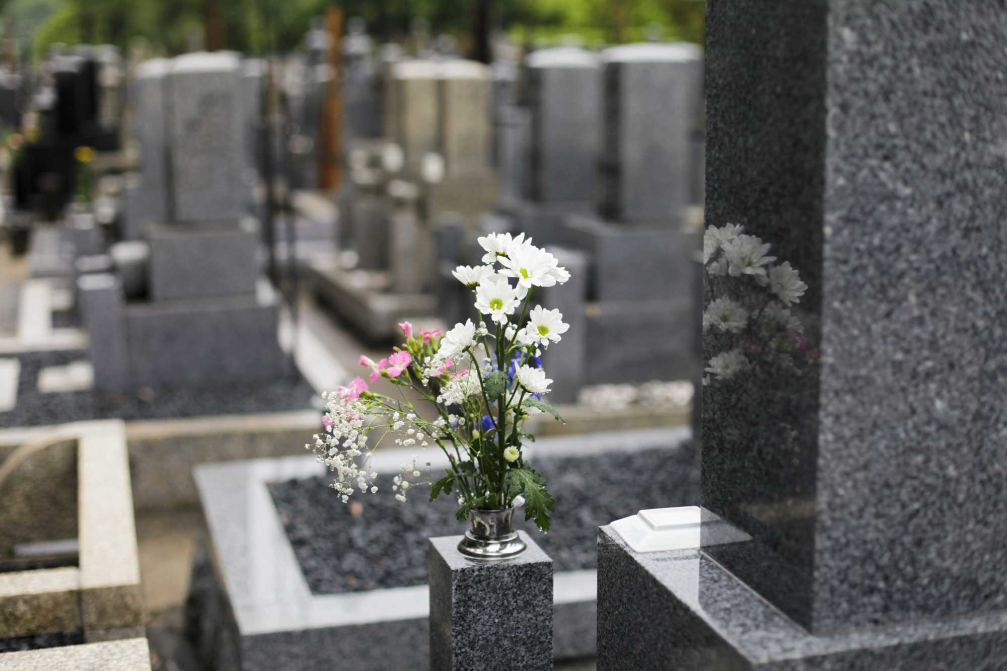 Imagem de flores no cemitério cercada de jazigos. Imagem de flores no cemitério cercada de jazigos.